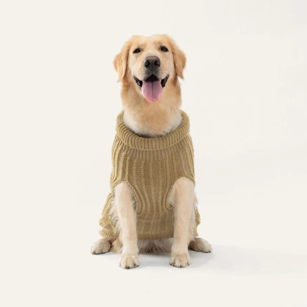Cosy Cable Knit Dog Sweater
