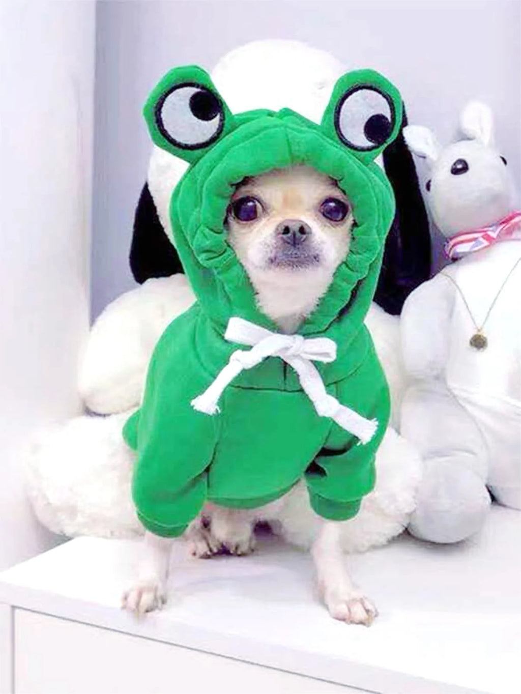 Frog Dog Hoodie – front view