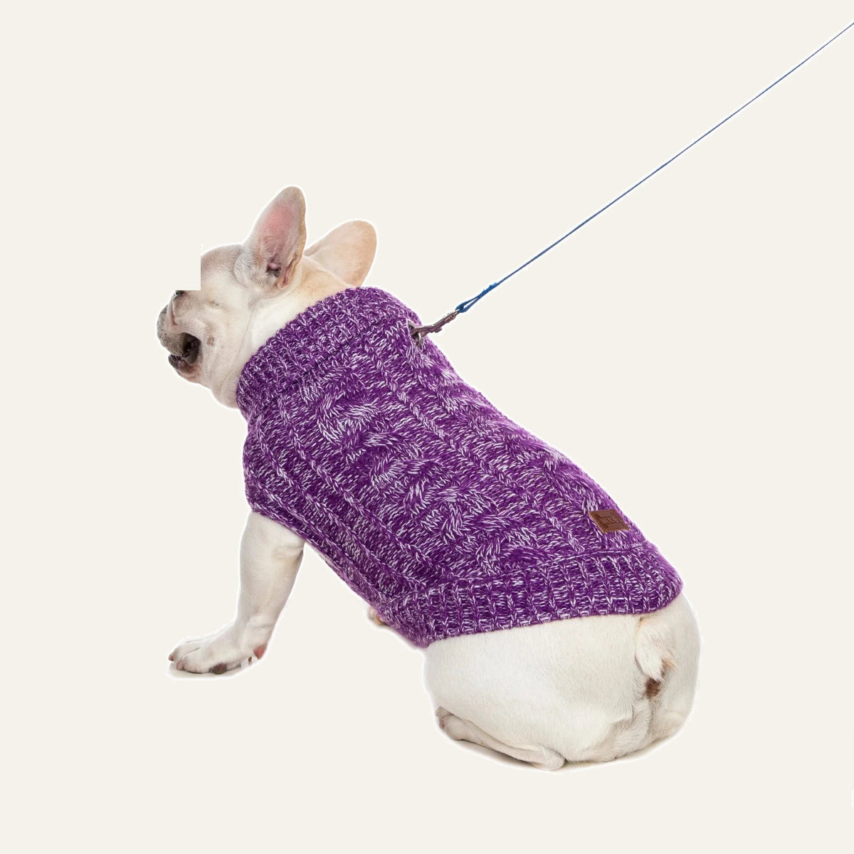Cosy Cable Knit Dog Sweater