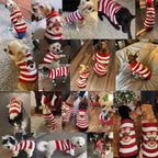 Christmas Knit Dog Sweater