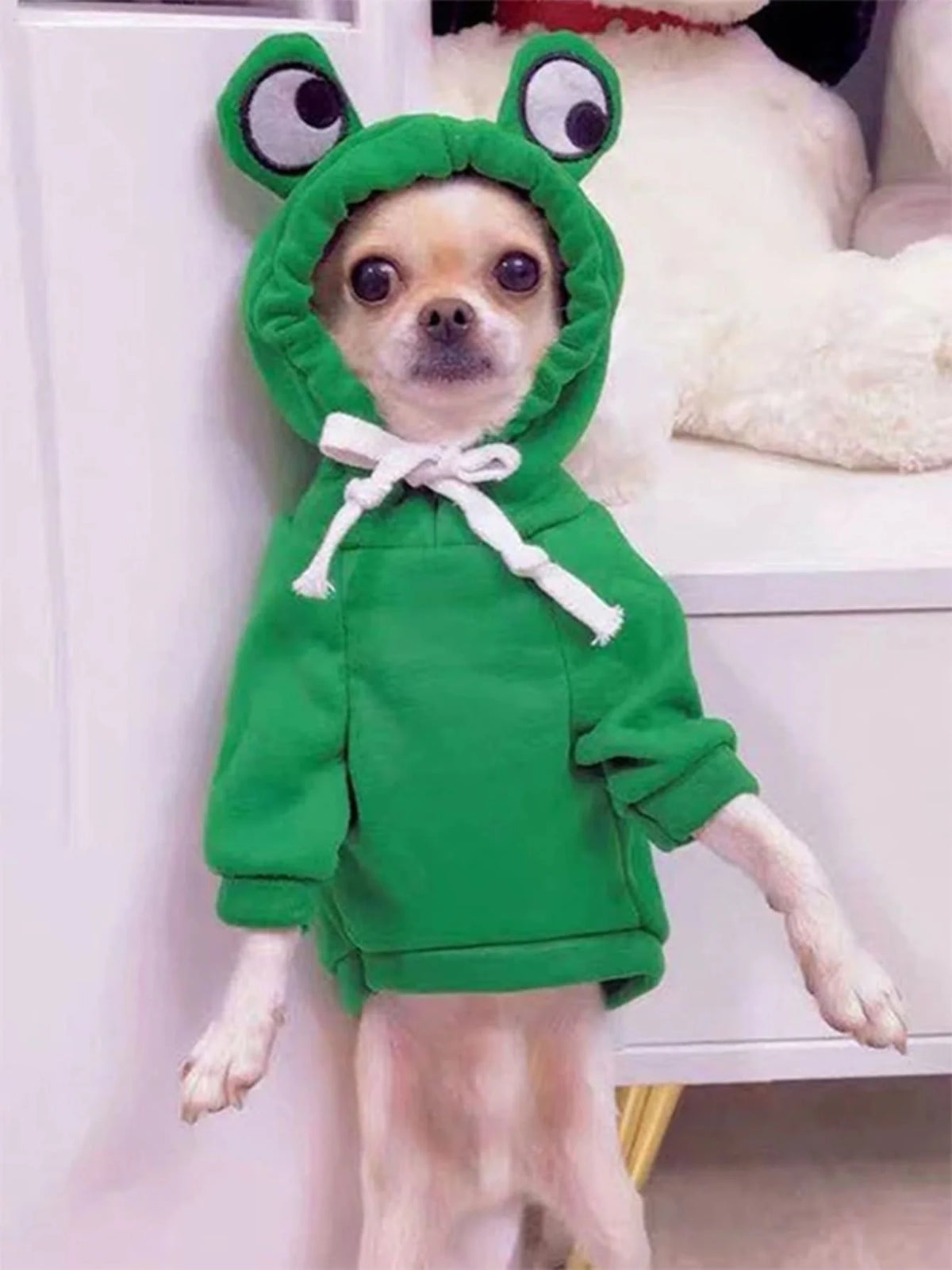 Frog Dog Hoodie – detail view 4