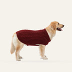 Cosy Cable Knit Dog Sweater