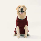Cosy Cable Knit Dog Sweater