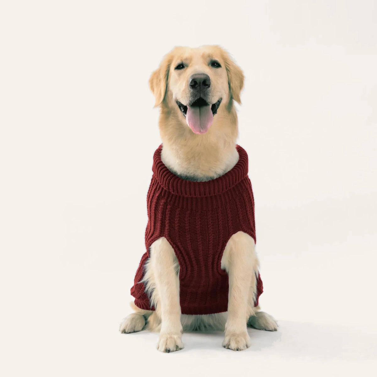 Cosy Cable Knit Dog Sweater