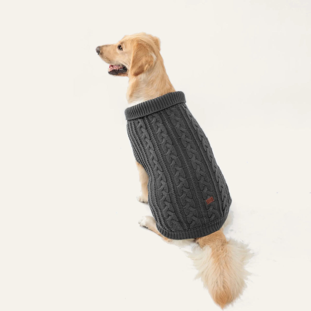 Cosy Cable Knit Dog Sweater