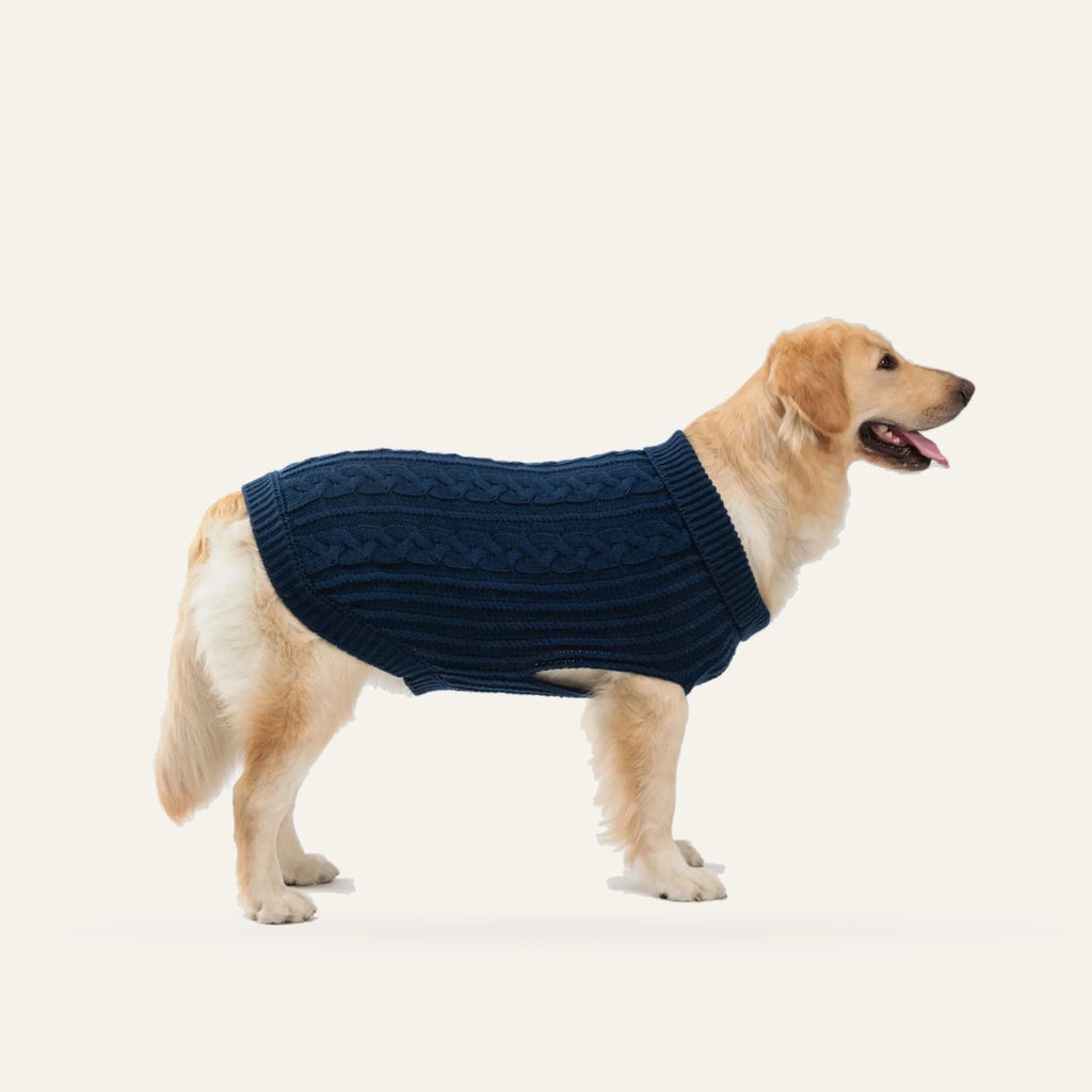 Cosy Cable Knit Dog Sweater