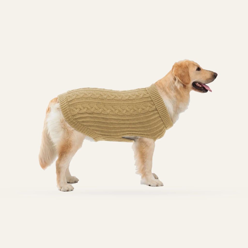 Cosy Cable Knit Dog Sweater