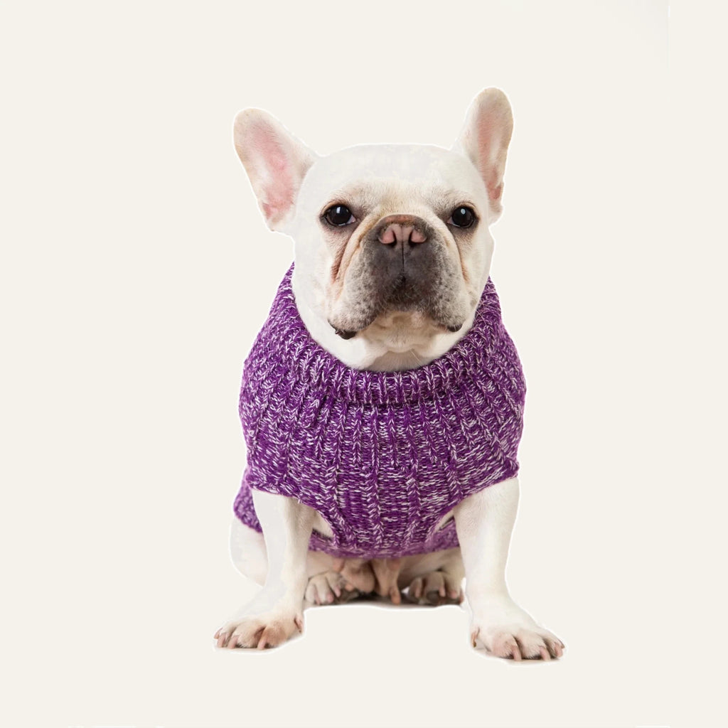 Cosy Cable Knit Dog Sweater