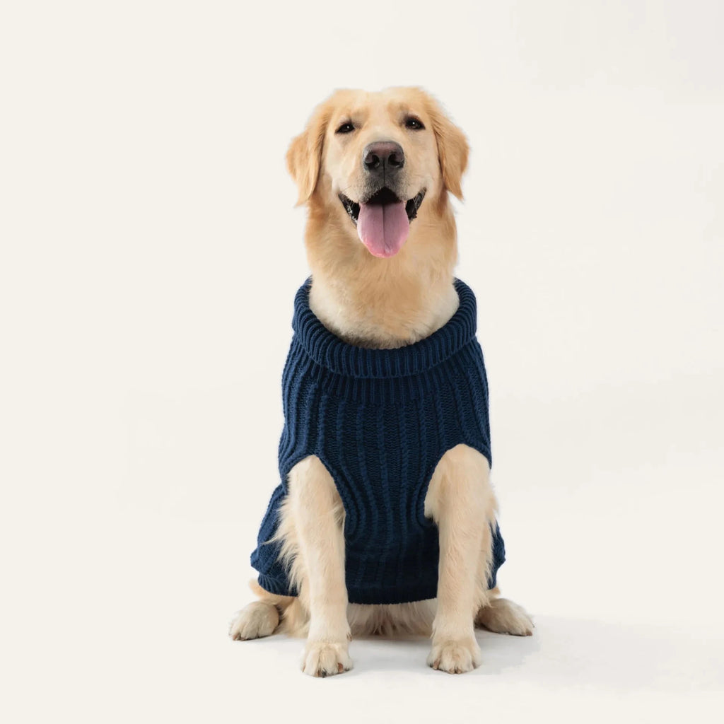 Cosy Cable Knit Dog Sweater