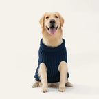 Cosy Cable Knit Dog Sweater