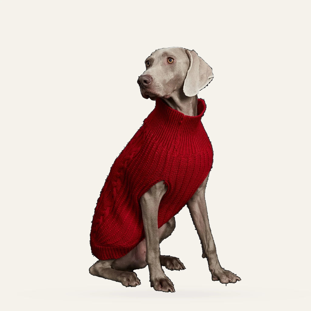 Cosy Cable Knit Dog Sweater