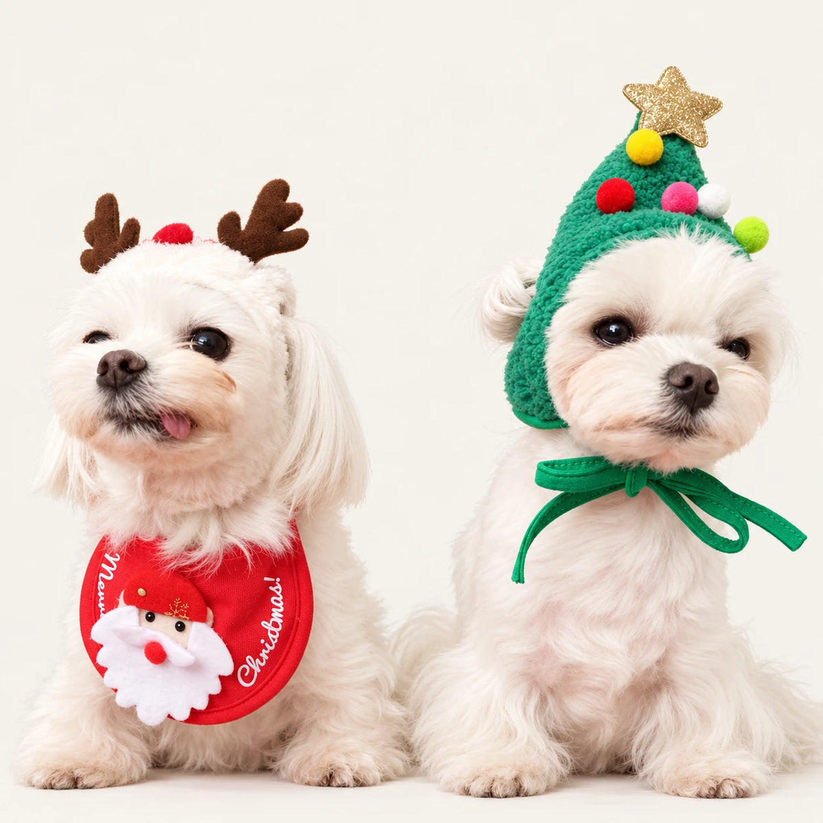 Two white dogs modelling the reindeer hat, Santa bib and green Christmas tree hat on a warm neutral background