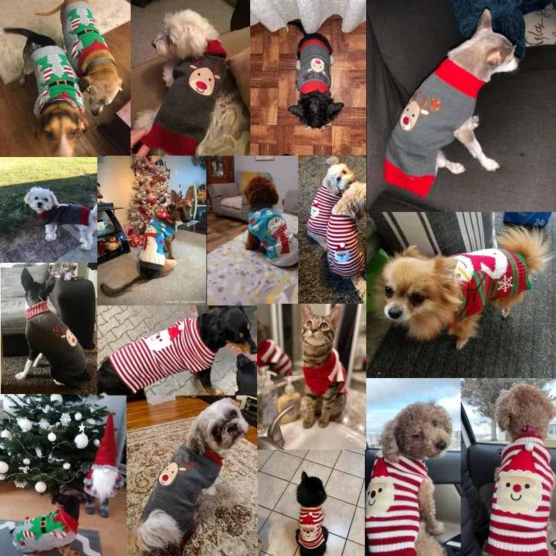 Christmas Knit Dog Sweater