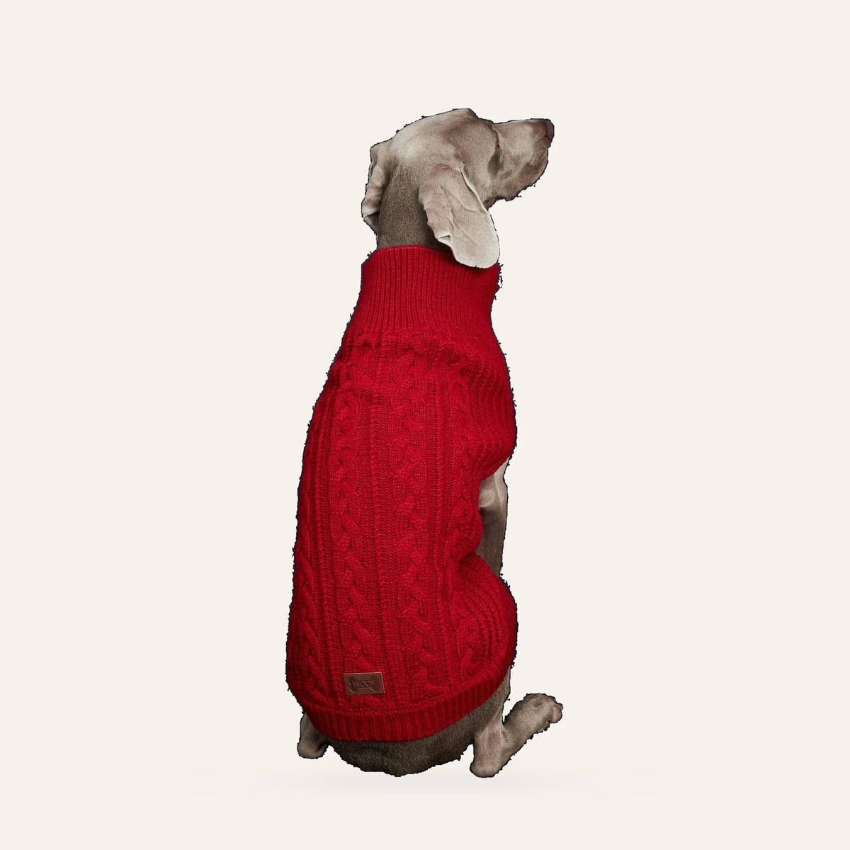 Cosy Cable Knit Dog Sweater