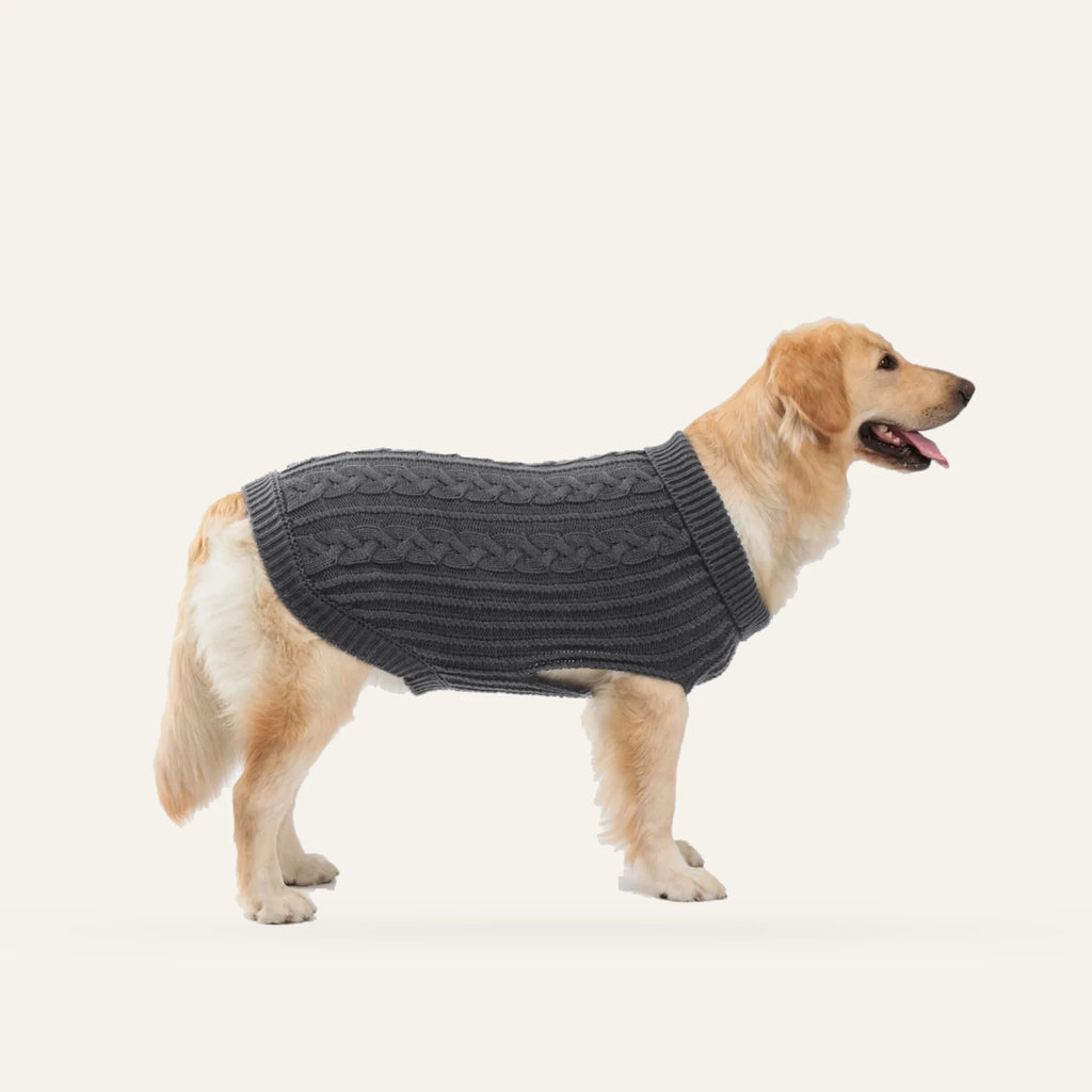 Cosy Cable Knit Dog Sweater