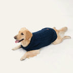 Cosy Cable Knit Dog Sweater