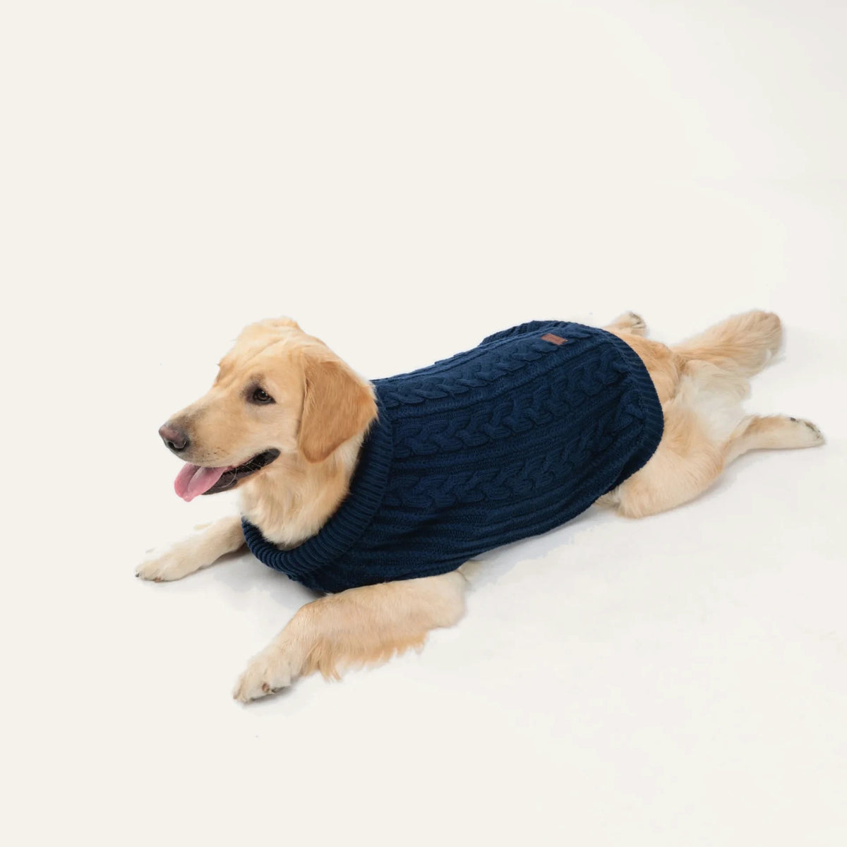 Cosy Cable Knit Dog Sweater