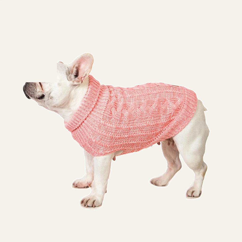 Cosy Cable Knit Dog Sweater