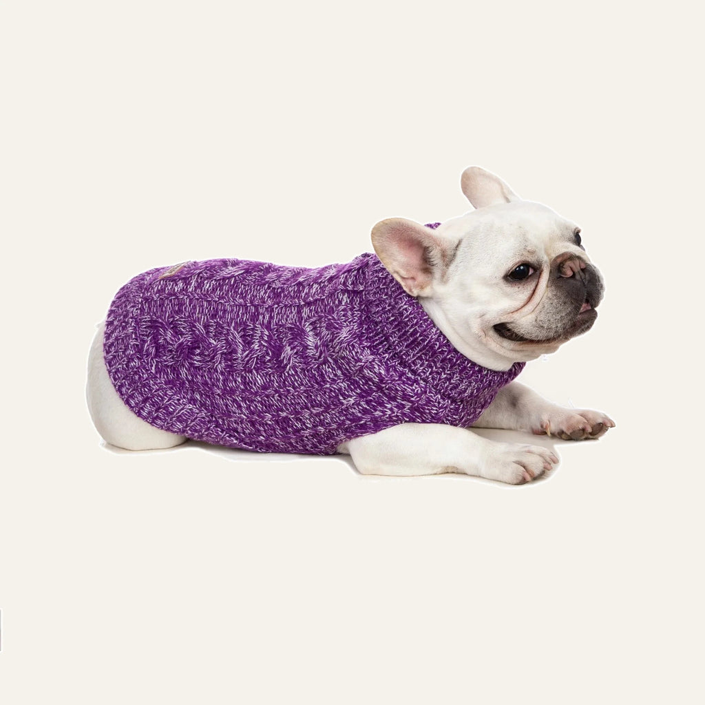 Cosy Cable Knit Dog Sweater