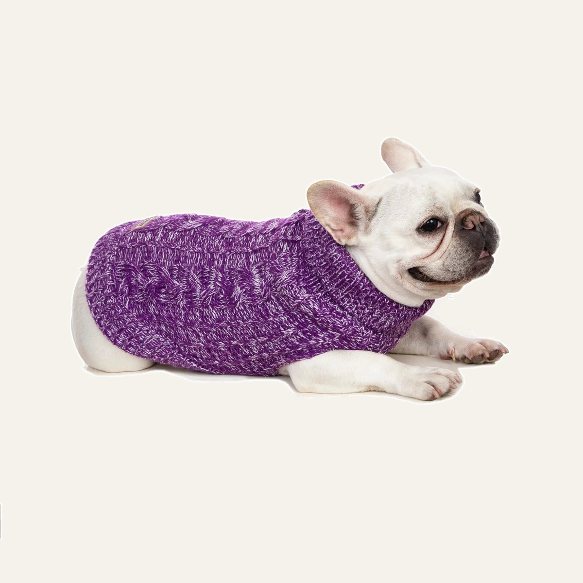 Cosy Cable Knit Dog Sweater