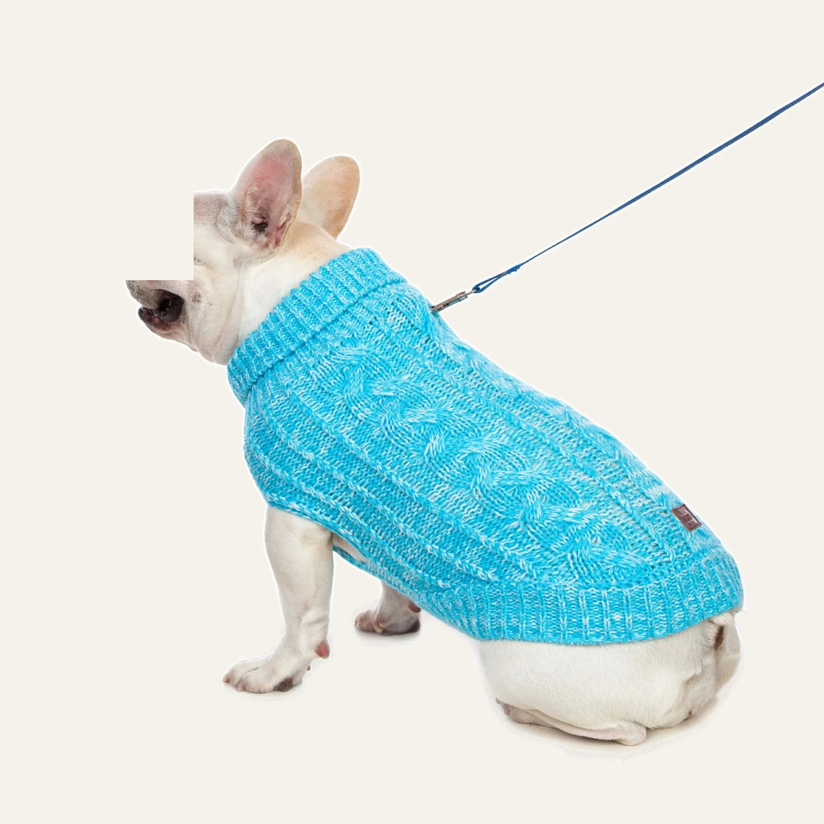 Cosy Cable Knit Dog Sweater
