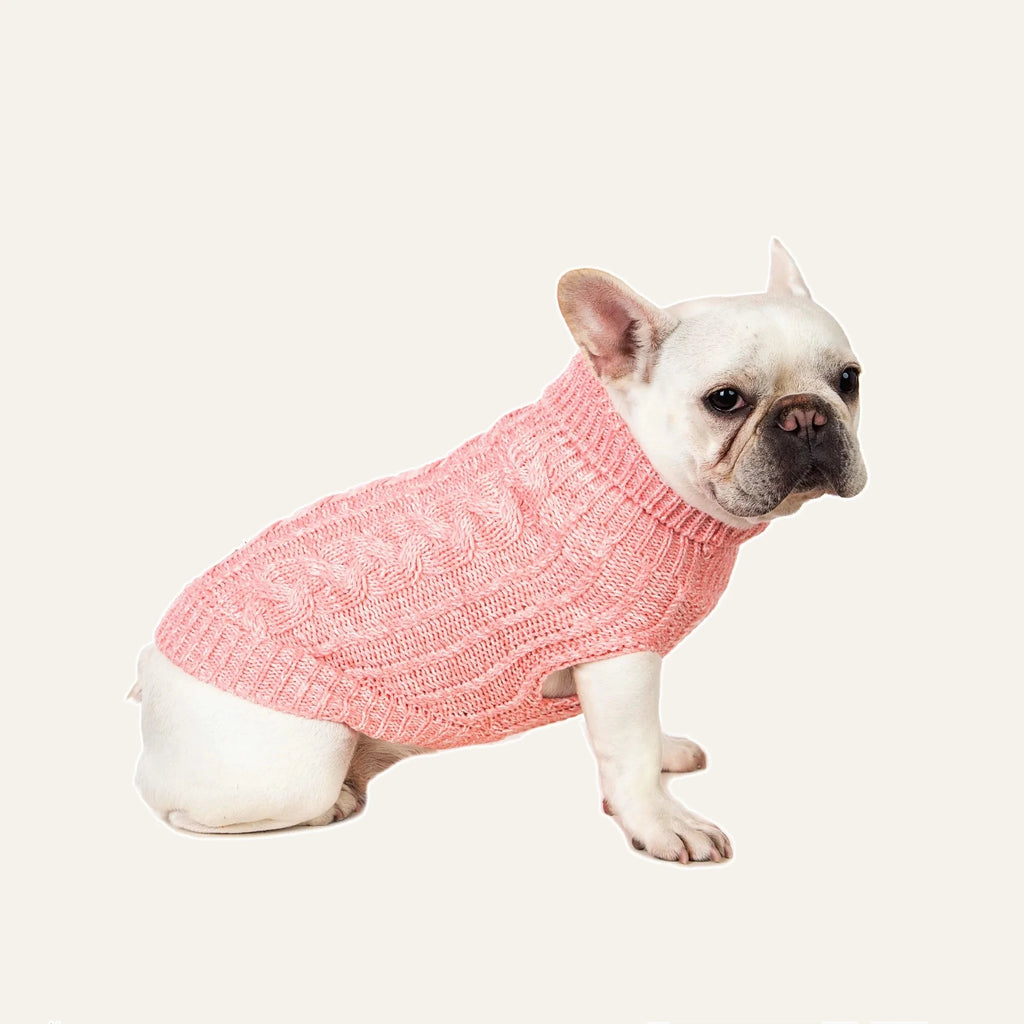 Cosy Cable Knit Dog Sweater