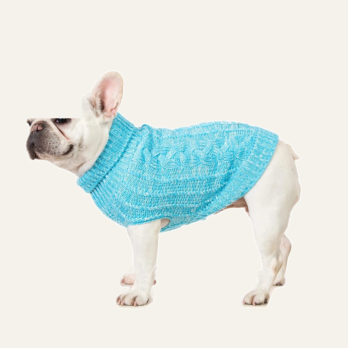 Cosy Cable Knit Dog Sweater