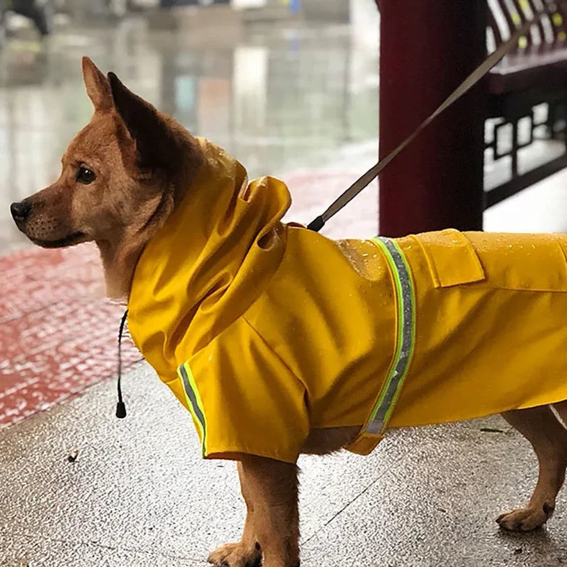 Dog wearing the Hooded Cloak Raincoat in Yellow on a rainy walk