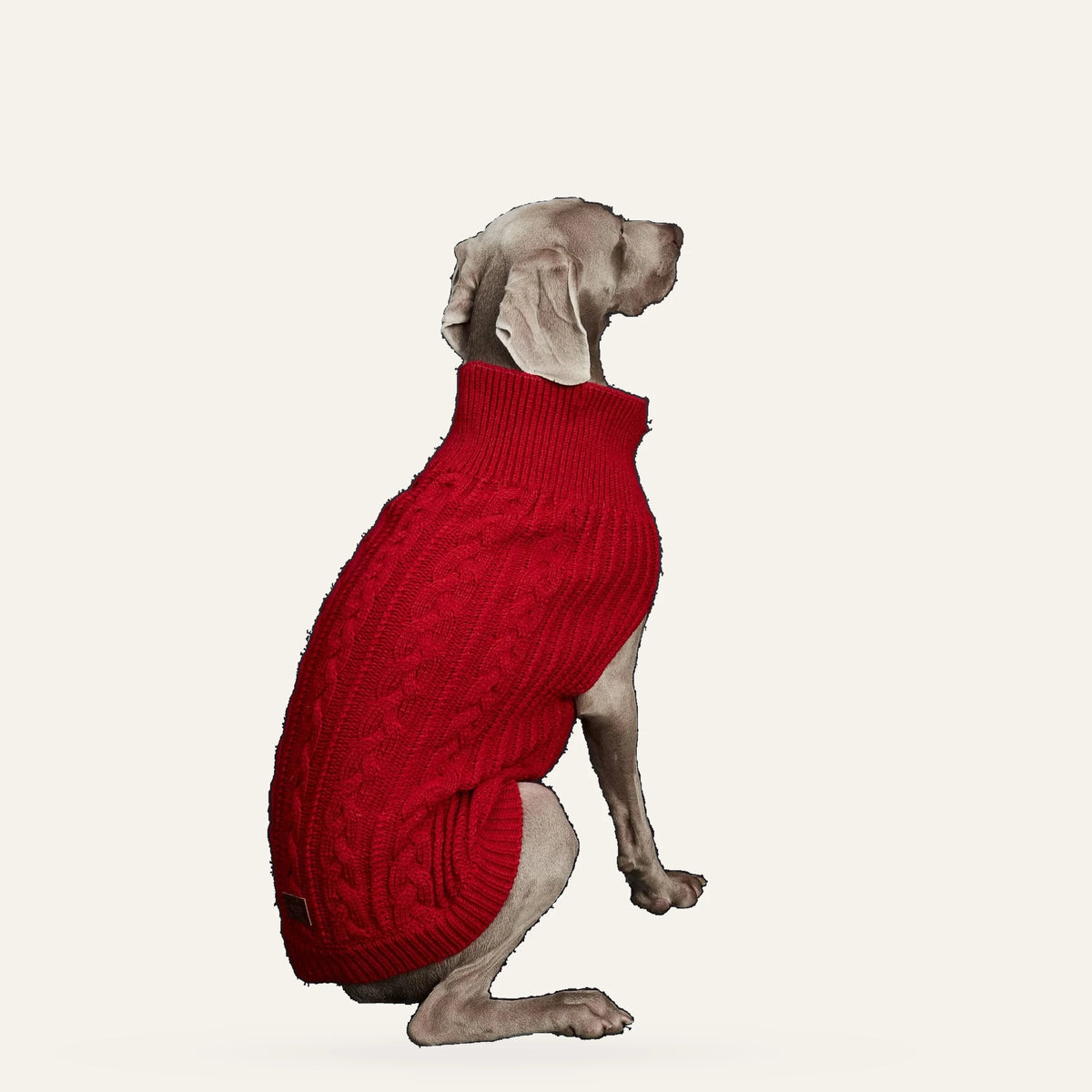 Cosy Cable Knit Dog Sweater