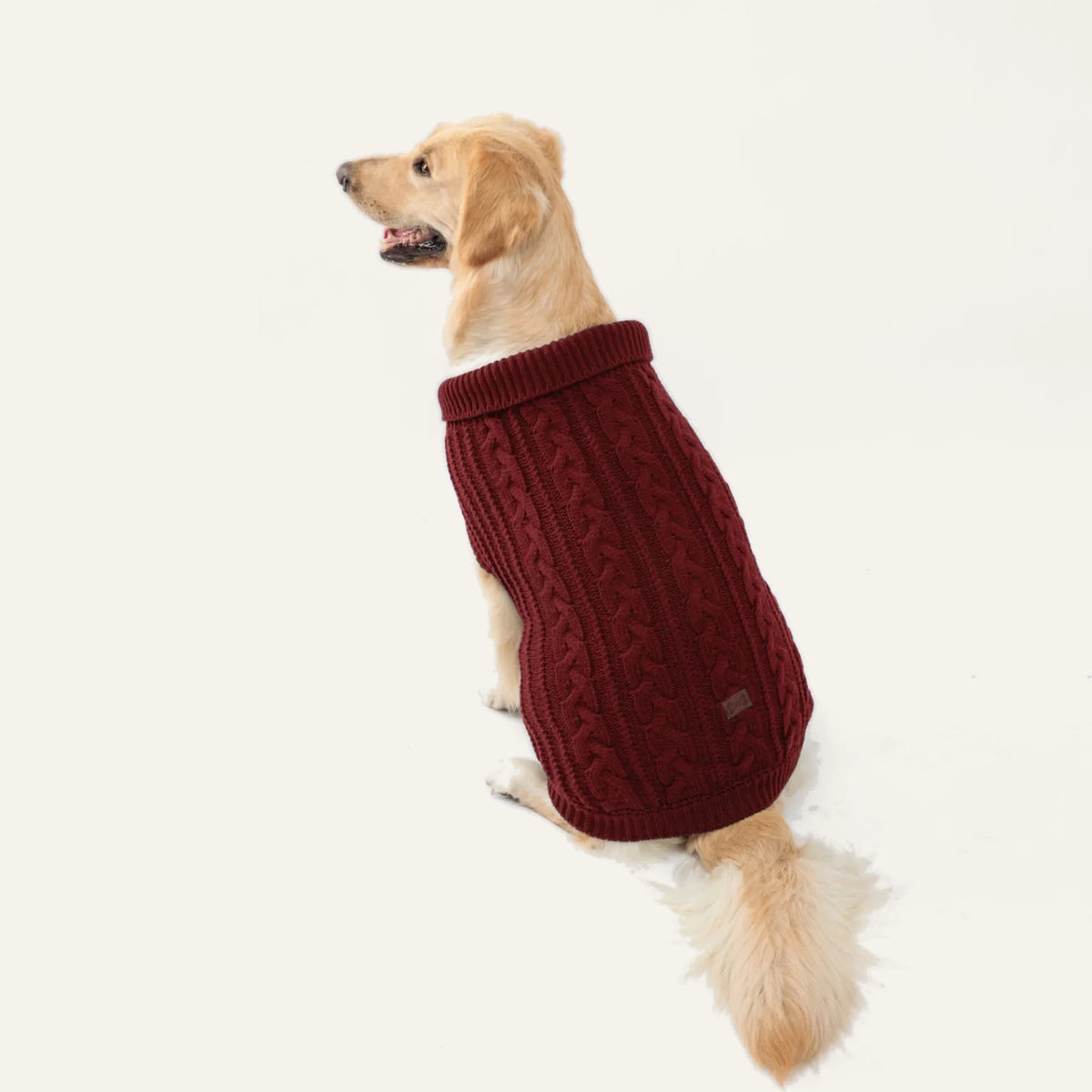 Cosy Cable Knit Dog Sweater