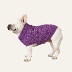 Cosy Cable Knit Dog Sweater