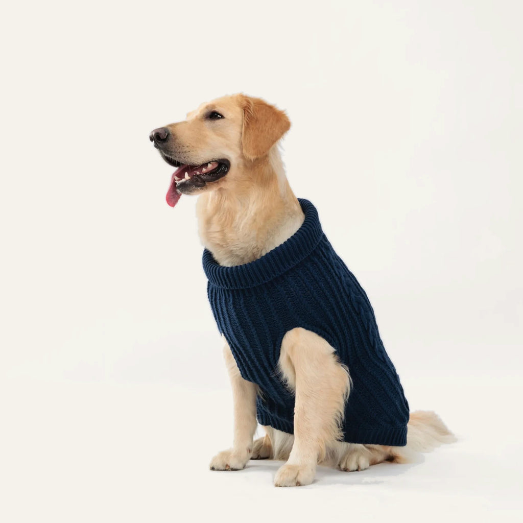 Cosy Cable Knit Dog Sweater