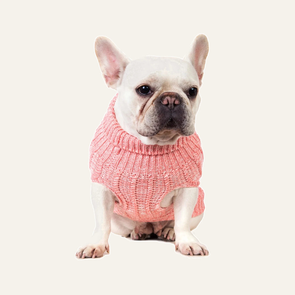Cosy Cable Knit Dog Sweater