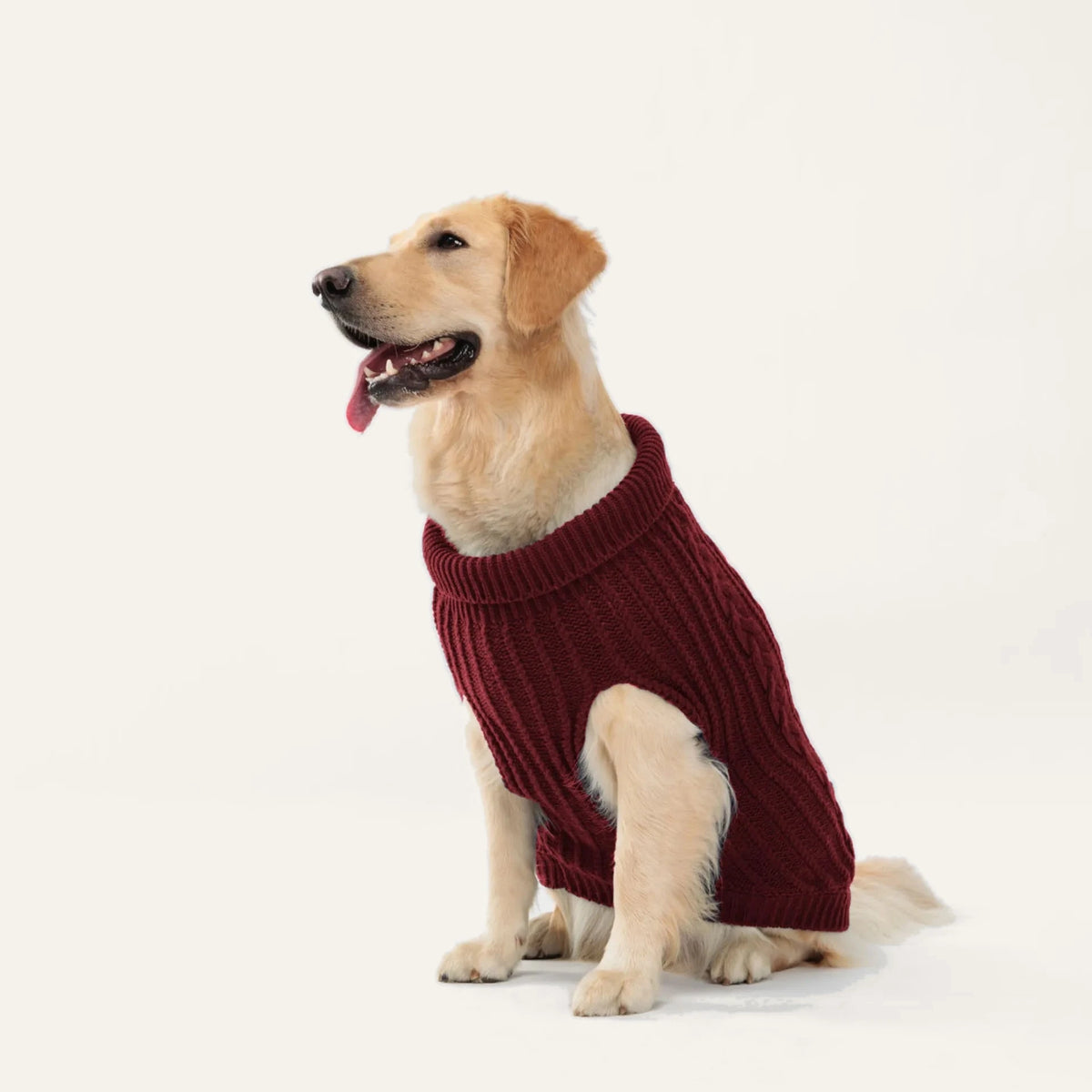 Cosy Cable Knit Dog Sweater