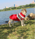 Reindeer Christmas Sweater for Medium & Large Dogs