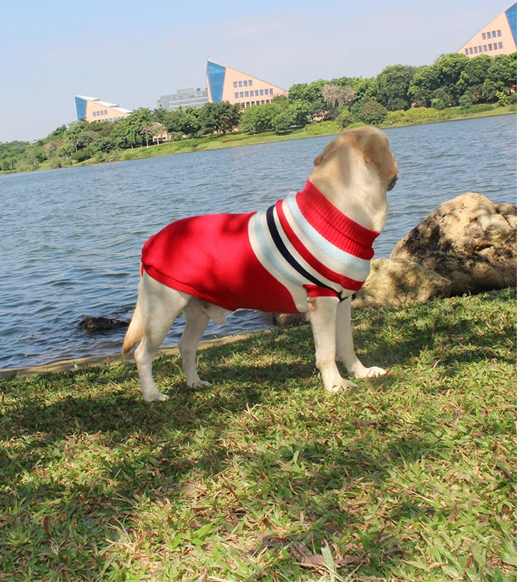 Reindeer Christmas Sweater for Medium & Large Dogs