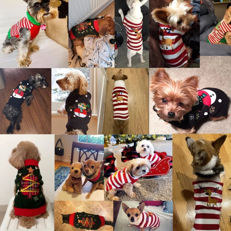 Christmas Knit Dog Sweater