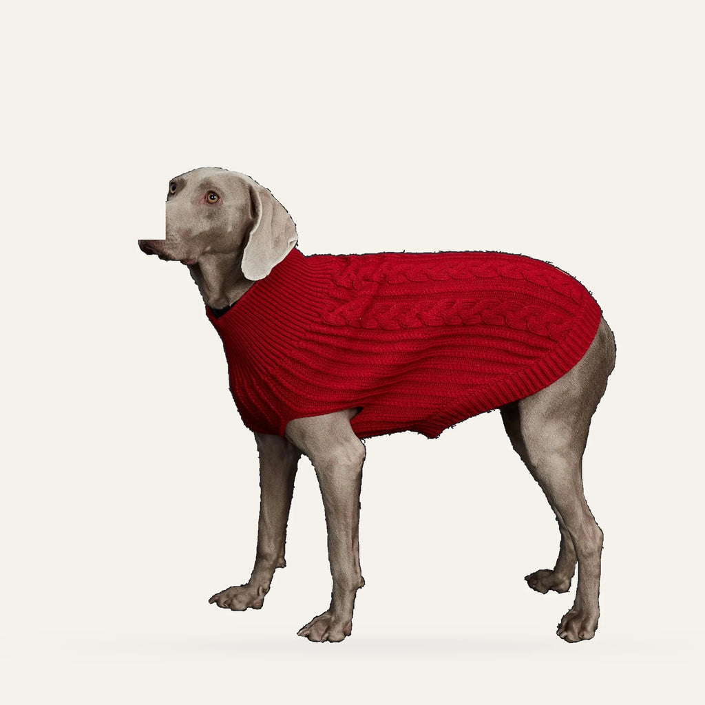Cosy Cable Knit Dog Sweater
