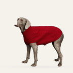 Cosy Cable Knit Dog Sweater