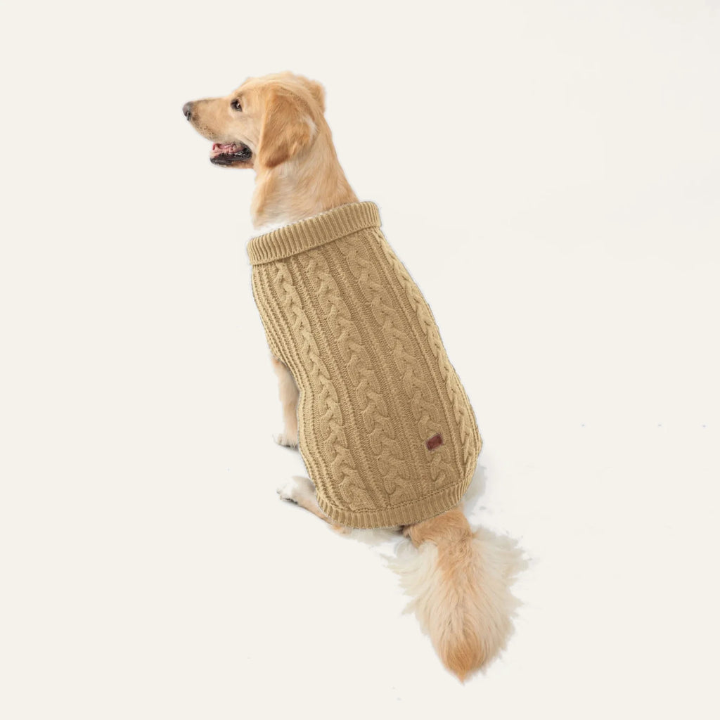 Cosy Cable Knit Dog Sweater