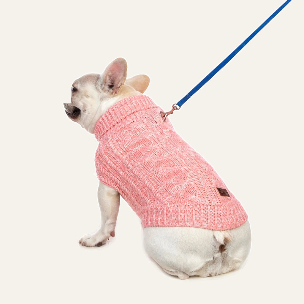 Cosy Cable Knit Dog Sweater