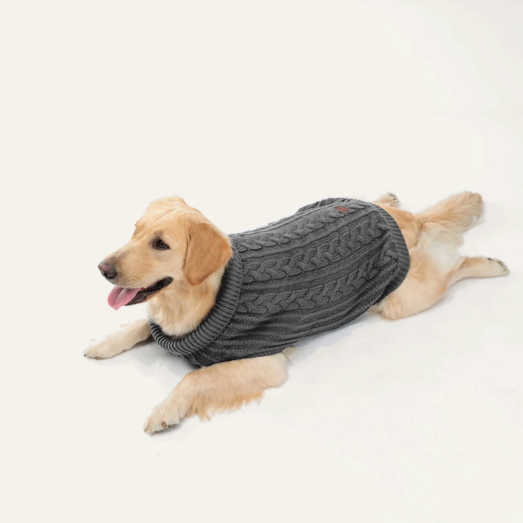Cosy Cable Knit Dog Sweater
