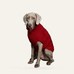 Cosy Cable Knit Dog Sweater