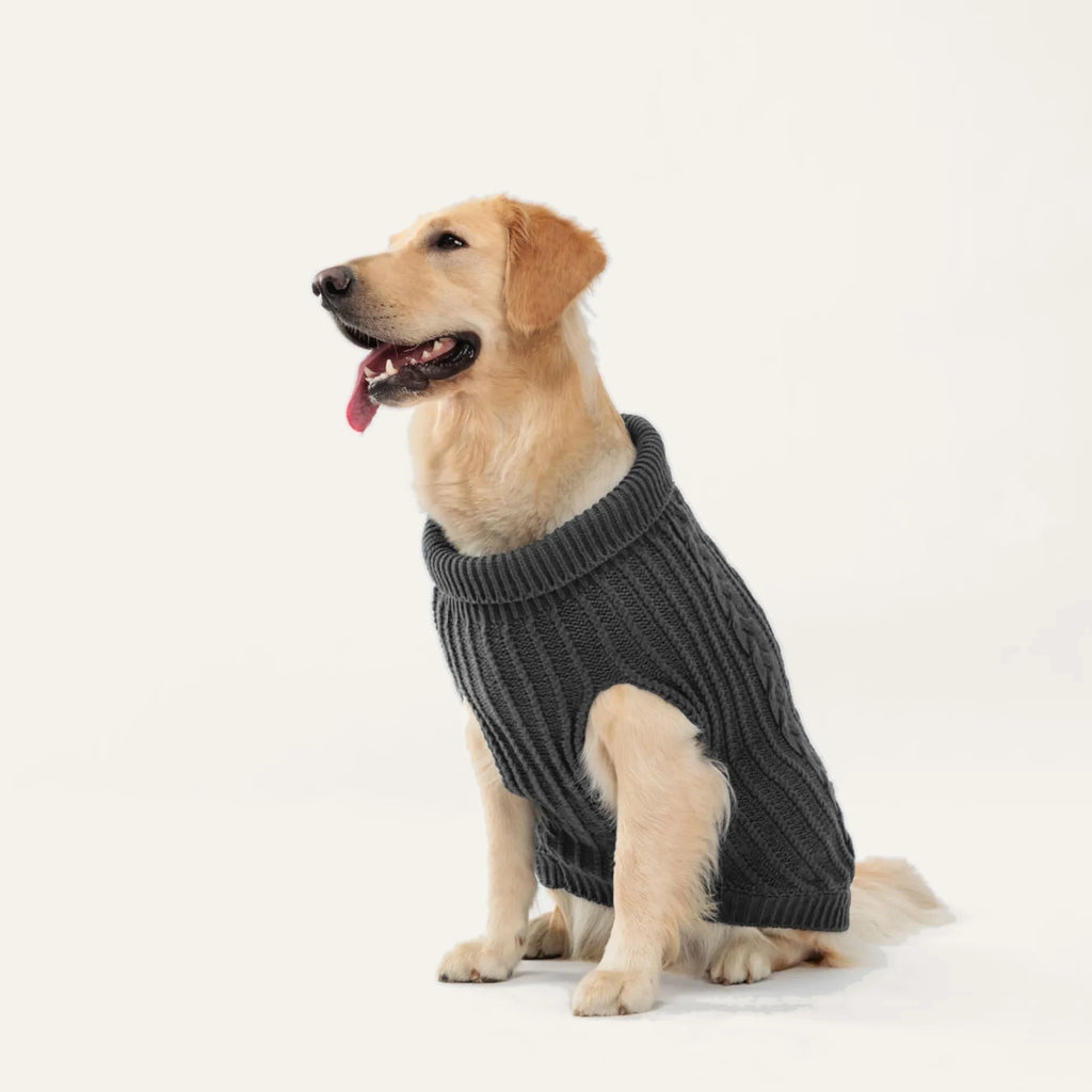 Cosy Cable Knit Dog Sweater