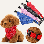 Adjustable Dog Bandana – front view