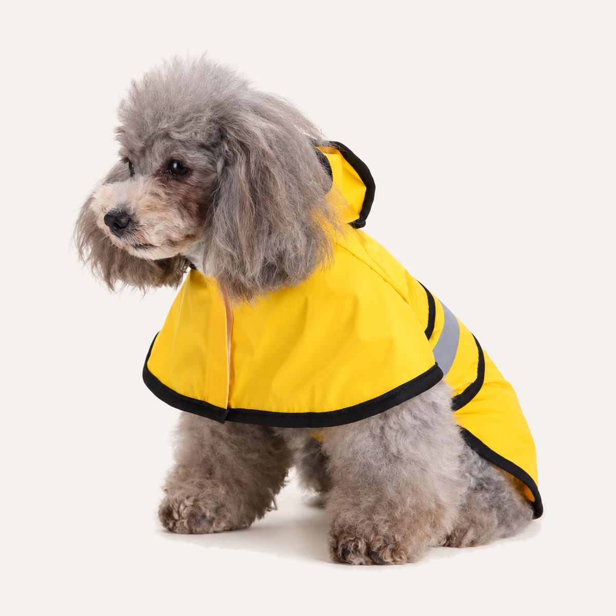 Adjustable Waterproof Dog Raincoat – front view