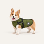 All-Weather Dog Jacket with Built-In Harness in green worn by a corgi