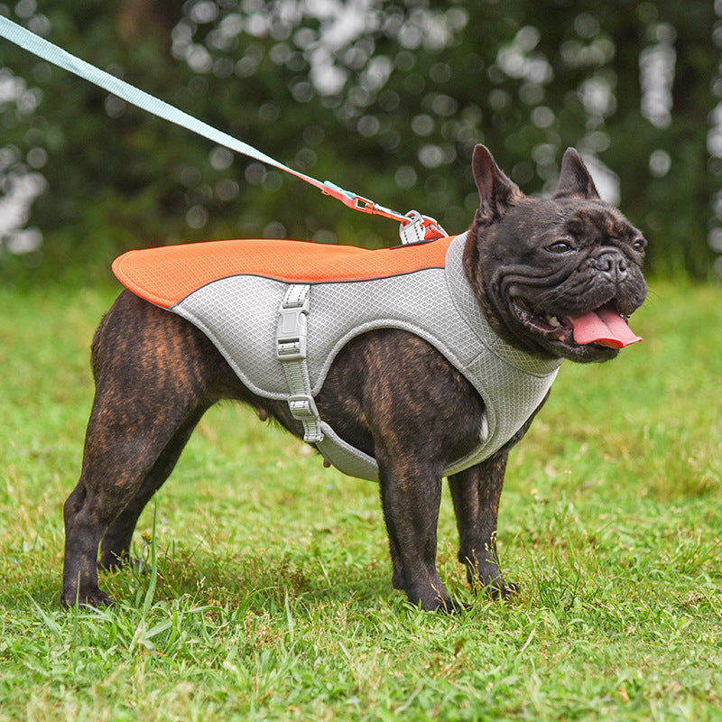 Dog Cooling Vest with Lead Clip – in use
