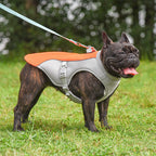Dog Cooling Vest with Lead Clip – front view