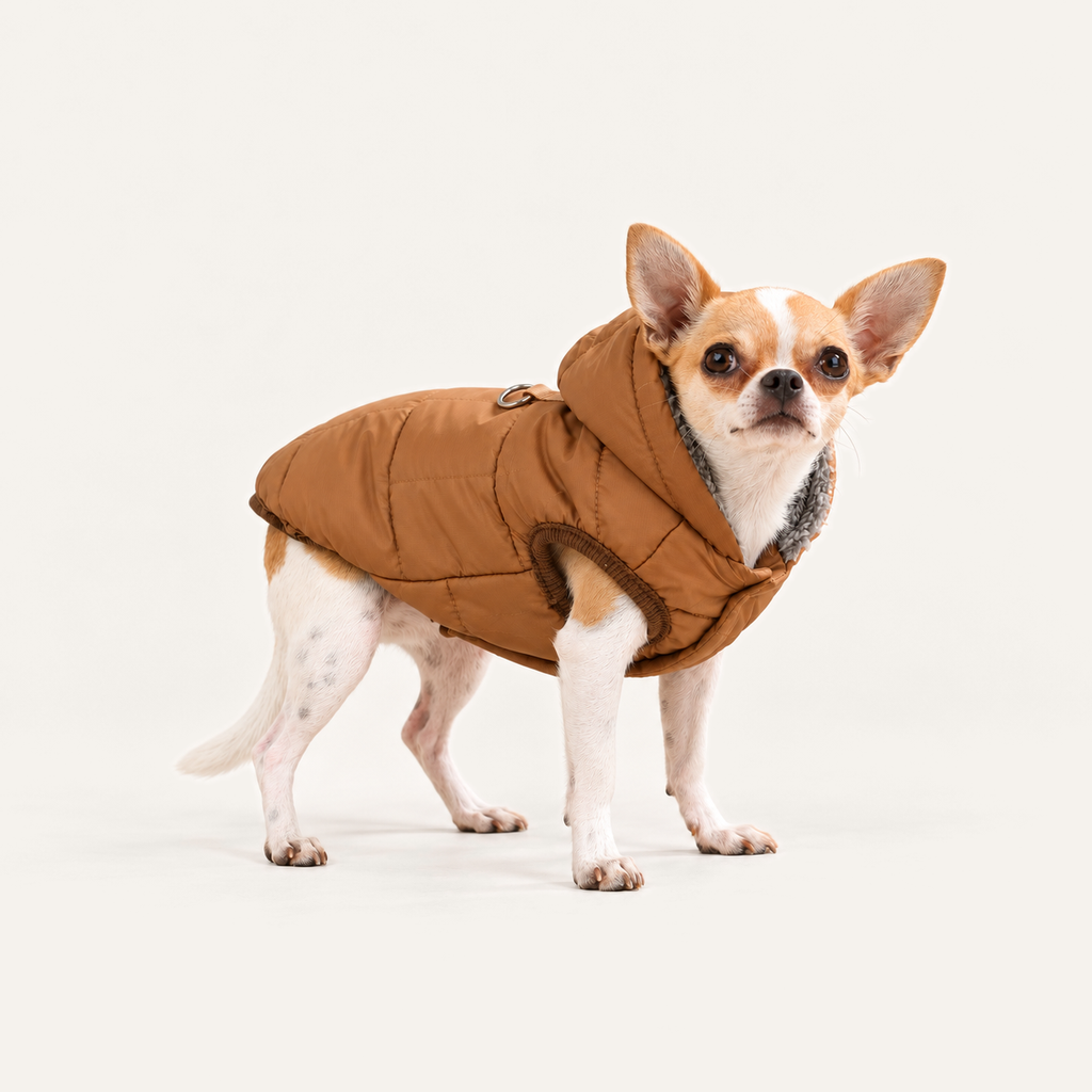 Hooded Fleece-Lined Dog Parka worn by a dog on a warm neutral studio background